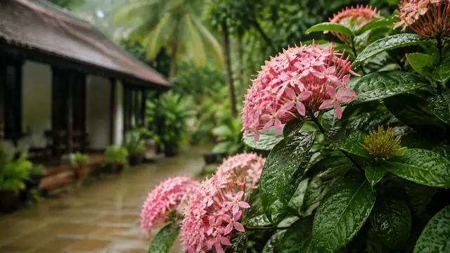 ധനു ഇന്നത്തെ രാശിഫലം: അവസരങ്ങളും കരുതലുകളും വിശദമായി